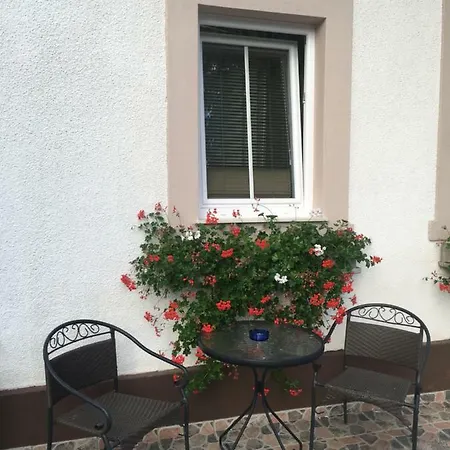 Apartma Eli Bled Exterior photo